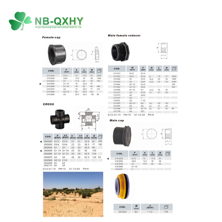 Black PP Threaded Pipe Fittings Bsp Standard Pipe Fittings