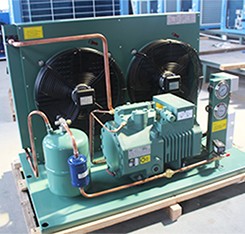 Fashion Small Cold Room For Dry Food With Air Cooled Condenser