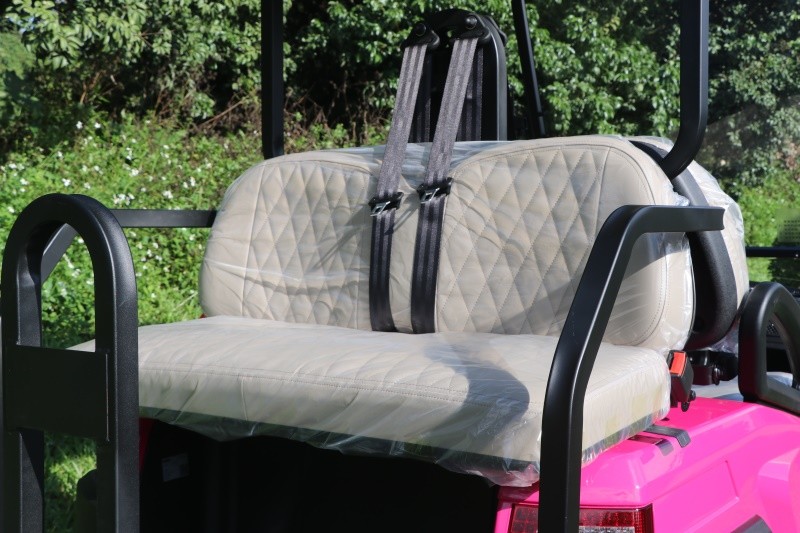Pinky Golf Buggy 48V 2+2 Seater with Trojan Battery