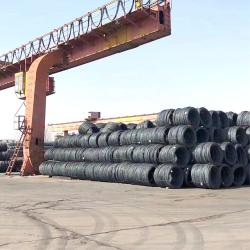 Shandong Duohe Import And Export Co., Ltd.