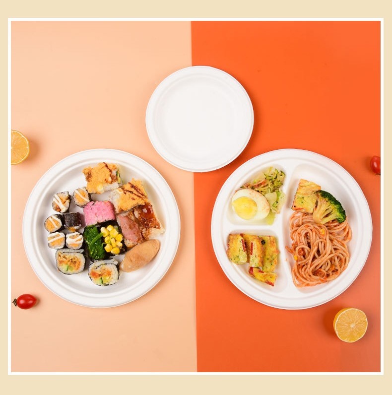 Sugarcane Bagasse White Biodegradable Food Plate Compostable