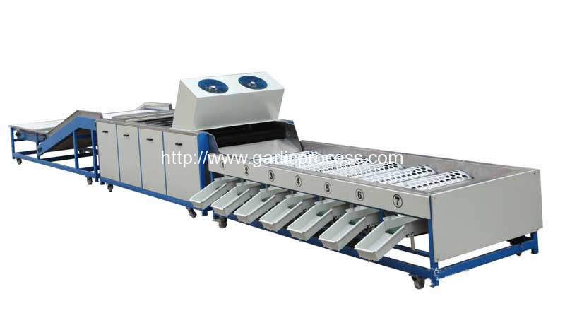 automatic-garlic-grading-machine-with-brusher-dry-cleaning-function