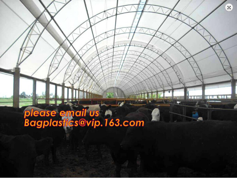 100% new HDPE insect mesh / anti bird net for apple trees,greenhouse anti insect net for plant, agriculture net Anti-ins