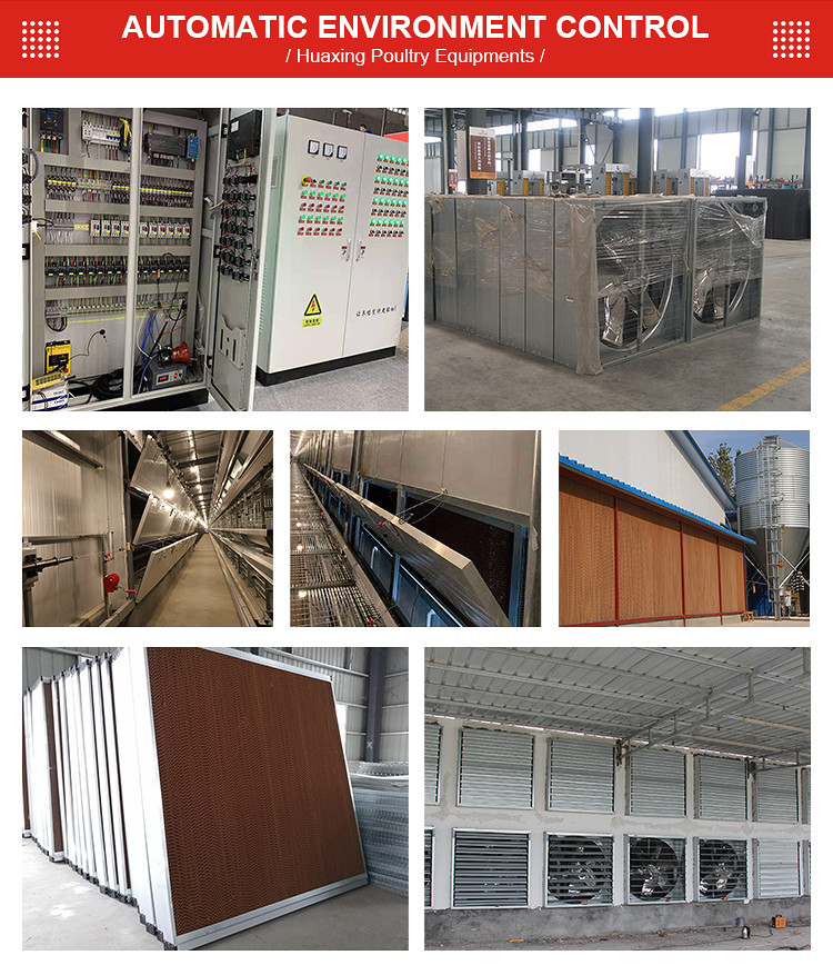 H TYPE LAYER CAGE (9).jpg