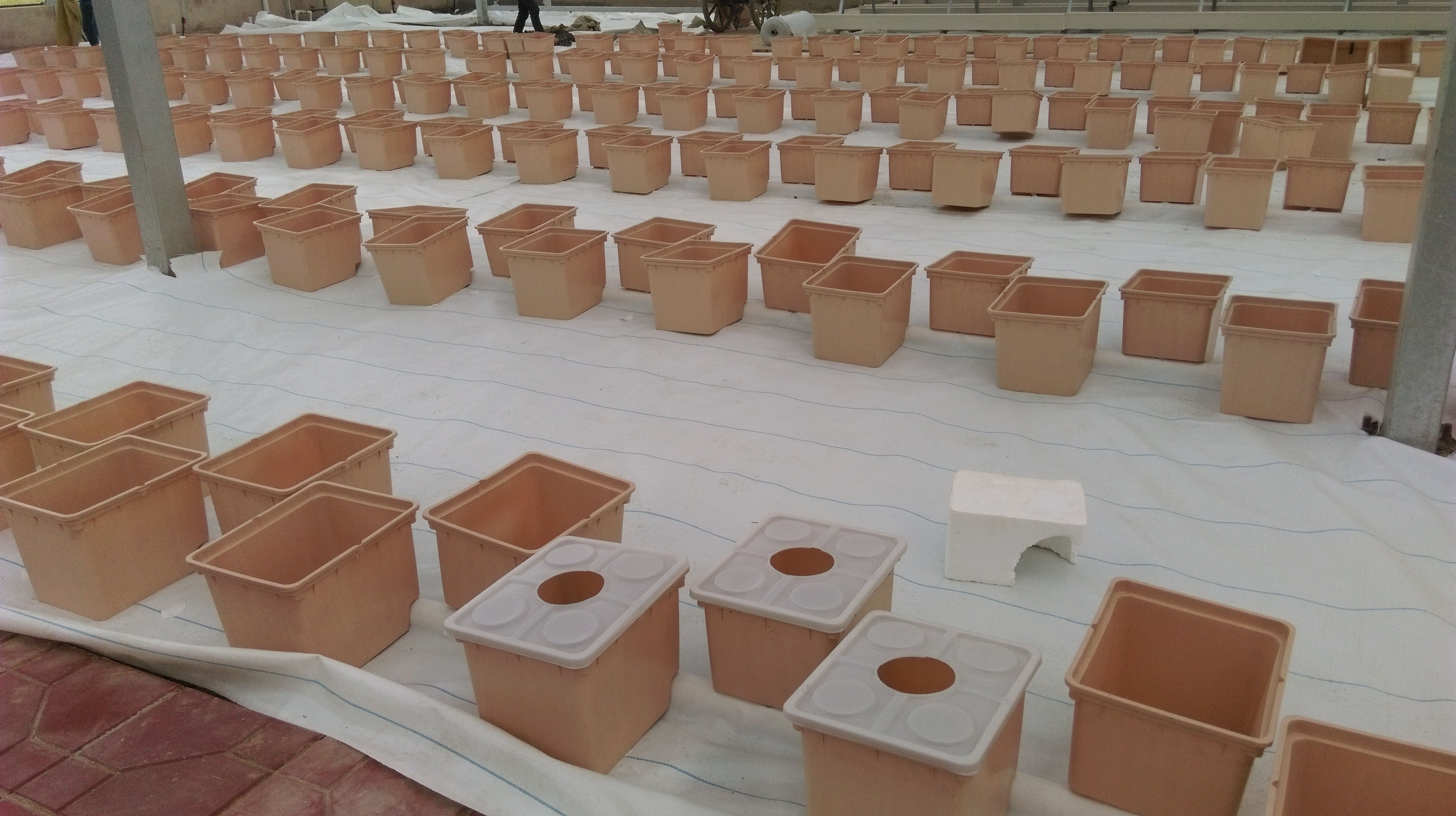 Sustainable Beige Dutch Bucket Hydroponics System Agricultural