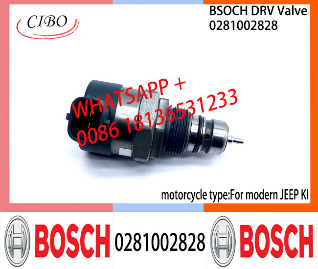 BOSCH DRV Valve 0281002828 Control Valve 0281002828 For modern JEEP KI