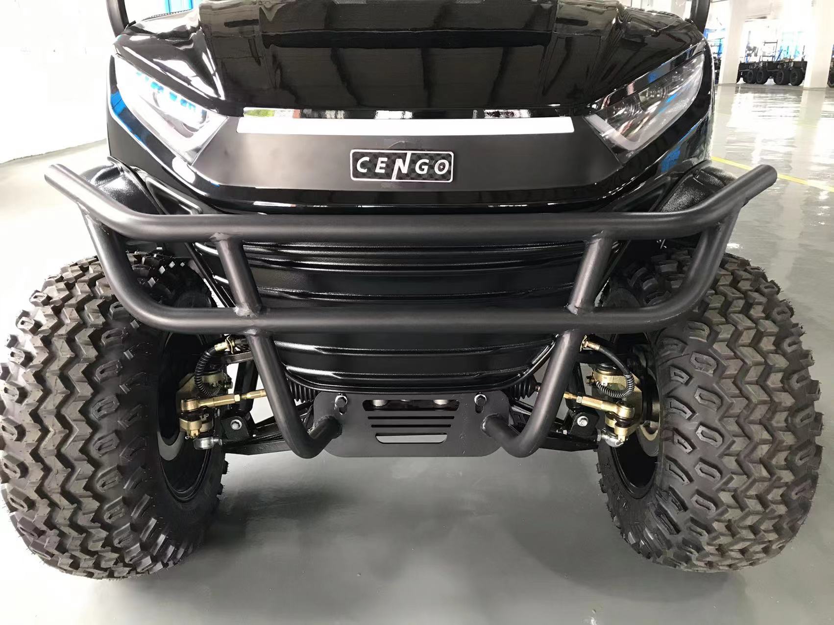 5-7h Charge Time Cengo 2 Seaters Electric Golf Cart For Golf Club with Front drum Rear drum Brake System and in 2024
