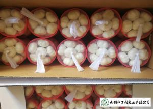Buy cheap Reducing Bacteria Fresh Organic Garlic 9 Months Shelf Life Supply For Supermarket product