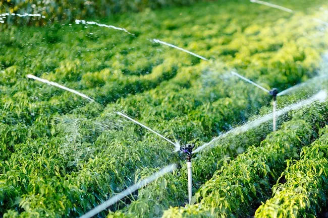 Agricultural irrigation