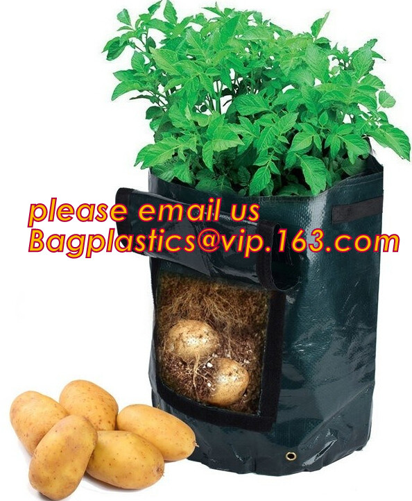 China factory supply irrigation system pe pipe price Ldpe pipe,25mm Garden irrigation PE pipe,Polyethylene PE Flexible P