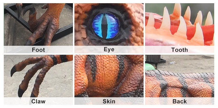 Antisun Realistic Animatronic Dinosaur Silicone Rubber Velociraptor Life Size Model