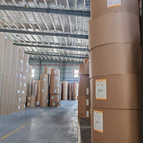 Manufacturer Wholesale Substitute PE Water-Based Materials Coated White Kraft Paper Roll Paper Cup Raw Material Jumbo Roll