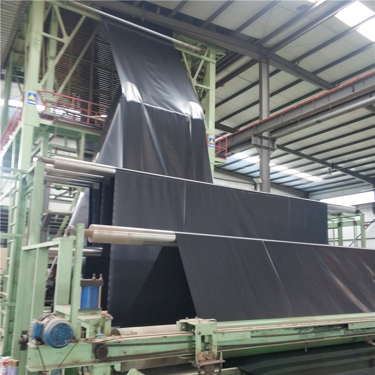 HDPE Black Fish Farm Pond Liner Plastic Geomembrane for Fish Pond Industrial Design Style