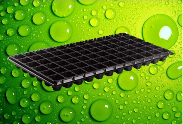 Low Price 200 cells seed tray for propagation nursery seedling pot plastic trays for plants with great price