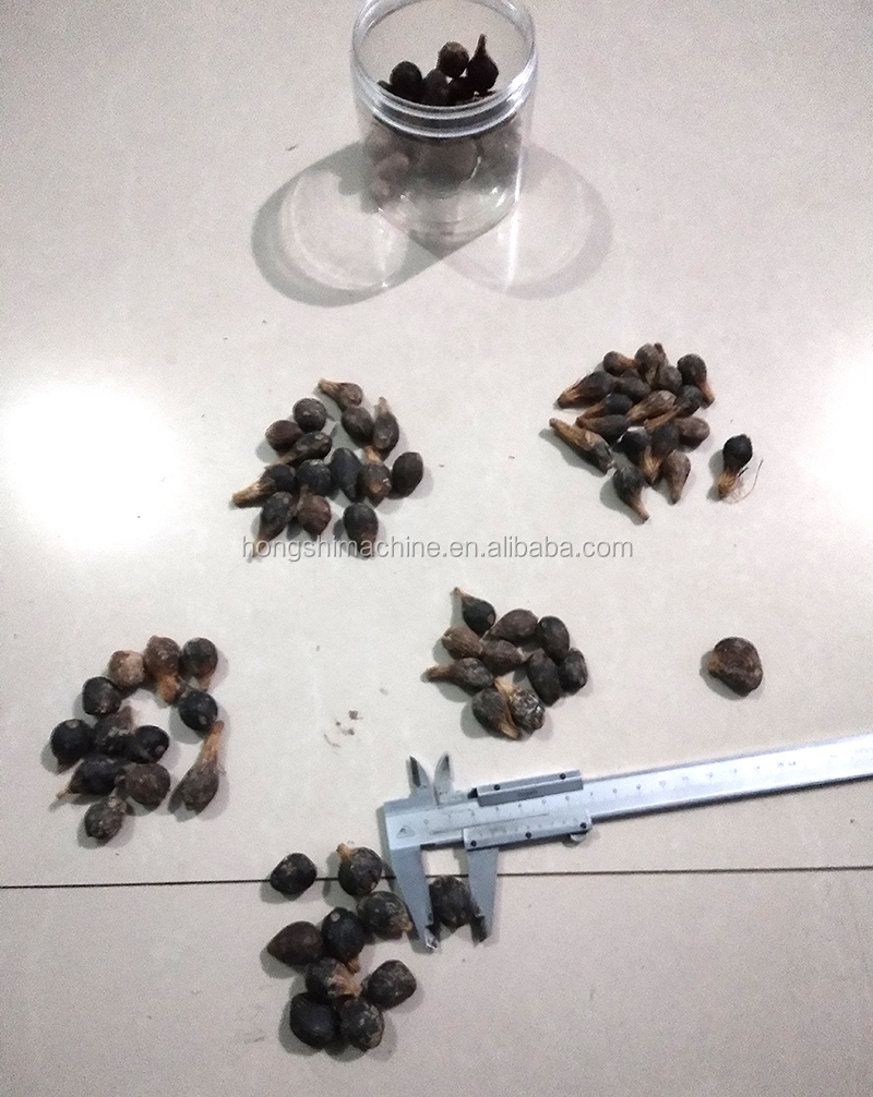 400kg/h Almond hazelnut shelling production line Almond peeling machine Almond cracker separating machine
