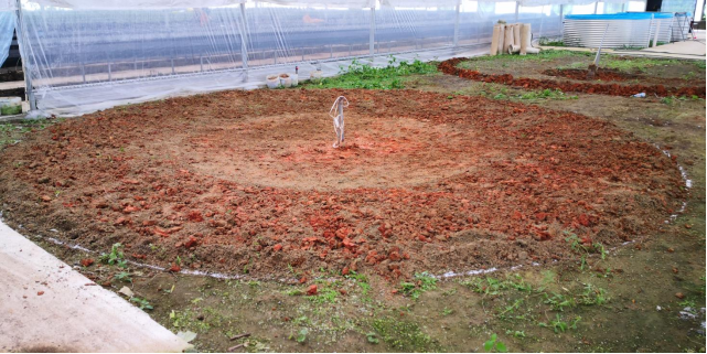 Industrial Indoor Recirculating Aquaculture System 7kg/M³ Shrimp Density 30% Faster Growth