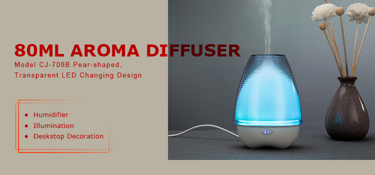 Spa Office Mini 80ml Aromatherapy Mist Diffuser With LED Light