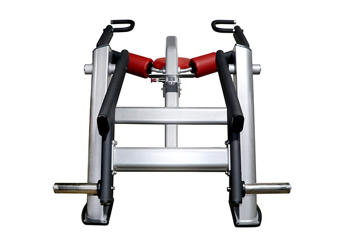 Electrostatic Spraying 300kg Seated Tricep Dip Equipment