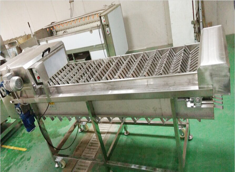 automatic stainless steel carrot/corn/Lettuce/cassava/yam cutting machine