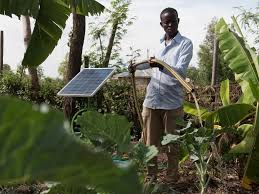 DC Solar Water Pump System Photovoltaic Brushless For Deep Well
