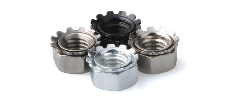 304 Stainless Steel K-nut American K Cap Multi-Tooth Flower Cap Nut Polished Finish