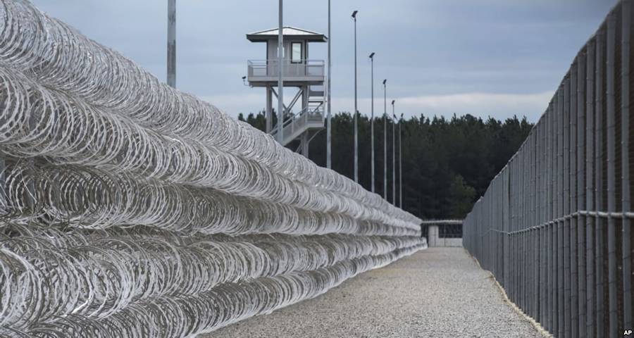 Galvanized Steel Wire Top Sale Electro GI Barbed Wire 50 KG Per Roll For Protection