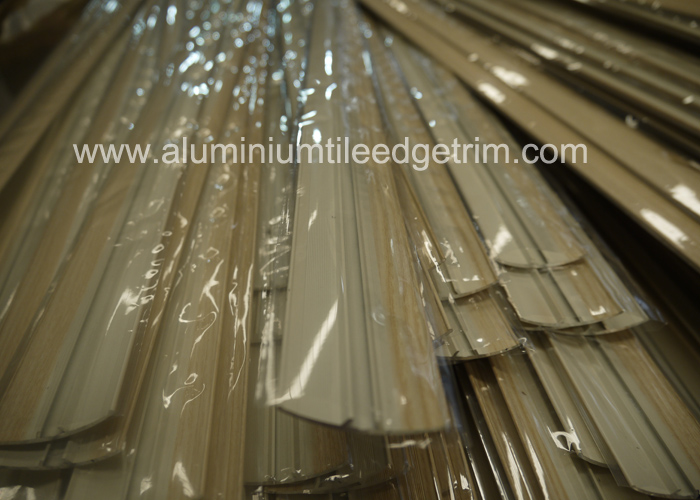 realistic aluminium cover strips