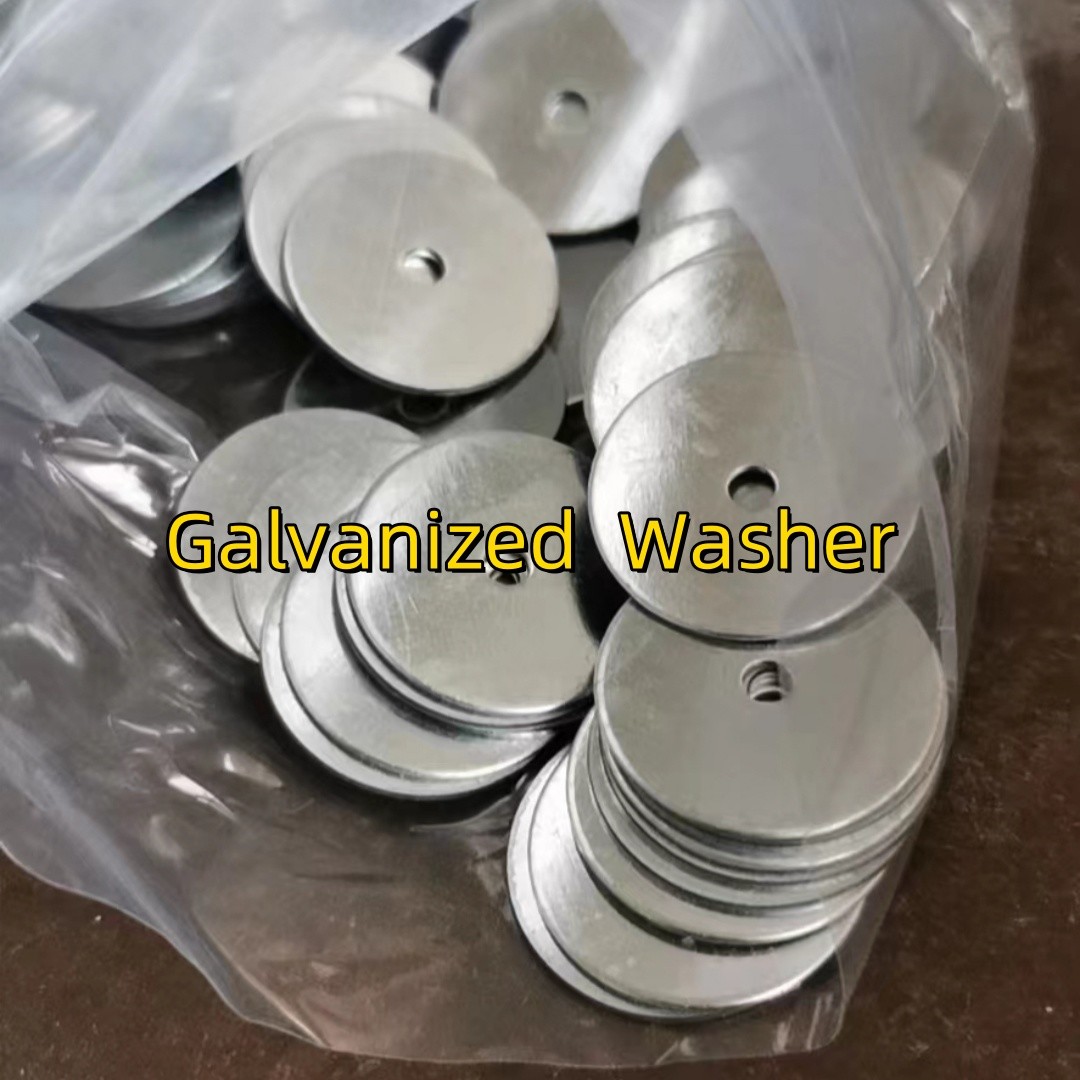 Round Galvanized Stainless Steel Flat Washer Plain Washer Spring Washer