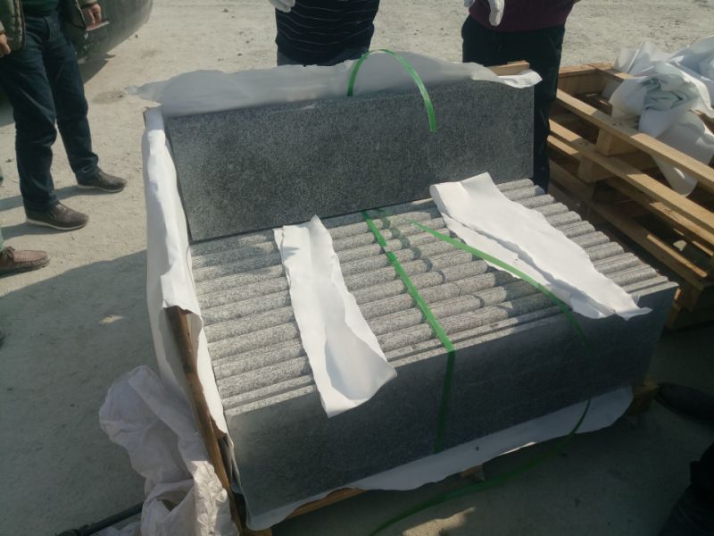 G623/ Rosa Beta Very Competitve Price Quarry Owner Grey Color Granite