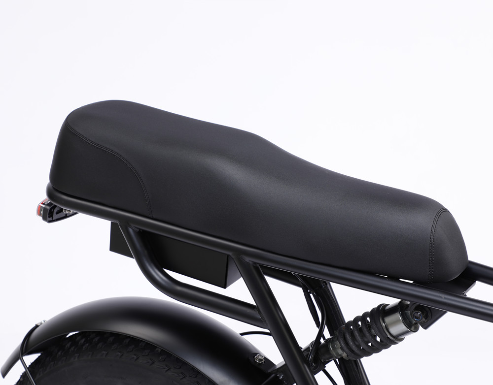 48V 750W Motor Electric Hybrid Bike Full Suspension 20 Inch Fat Tire Ebike 17Ah Battery