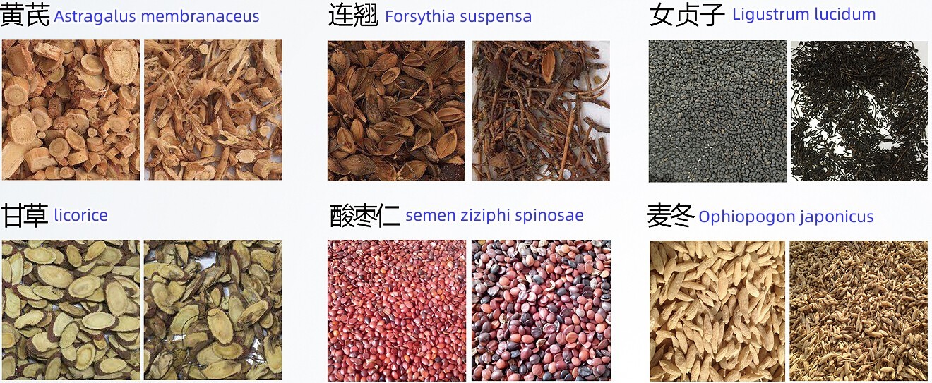 Customized Fruit Color Sorter Machine Chinese Medicinal Materials C-M10H