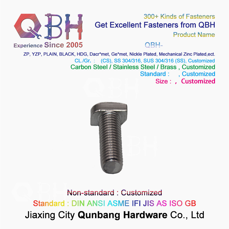 Custom European Standard Special T Square Head Bolt