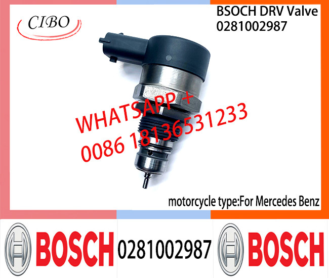 BOSCH DRV Valve 0281002987 Control Valve 0281002987 for BENZ