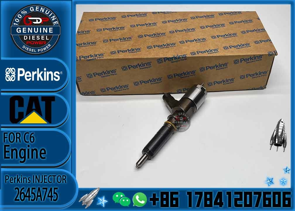 High Quality Professional Densos Gasoline Car Fuel Common Rail Diesel Electric Fuel Injector Assy 2645A751 2645A746 2645