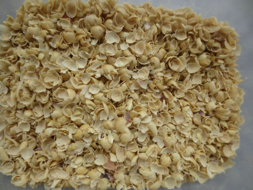 Small Size Dry Peanut Peeling Machine , Automatic Groundnut Peeling Machine