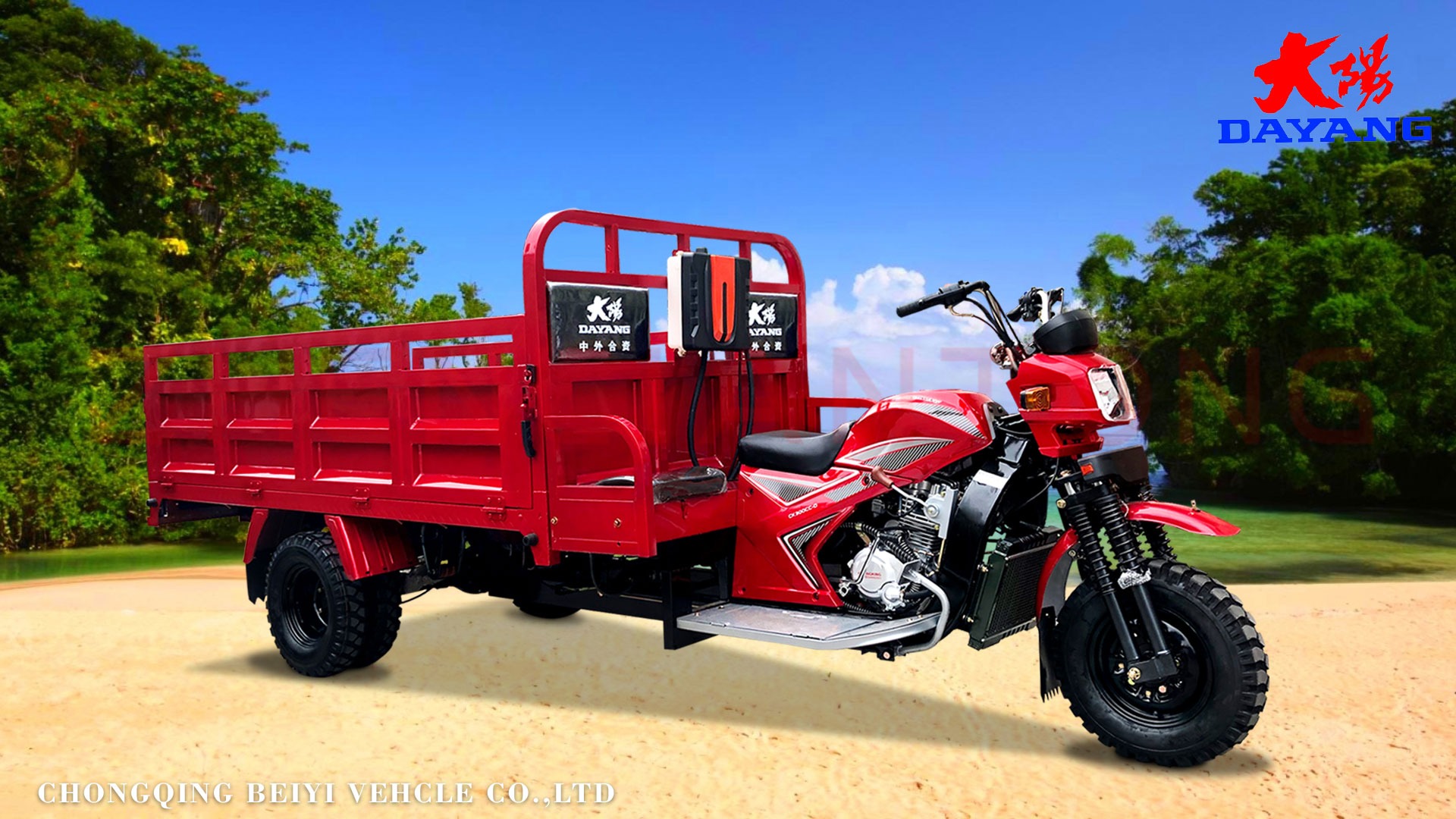 Togo Adult Zongshen Lifan Loncin Engine 150cc 200cc Farming Truck Cargo Tricycle