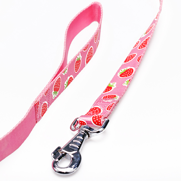 OEM training dog leash Silk Screen Pattern dog training lead