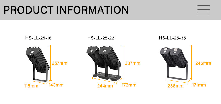 LED Type Green/Blue Light Commercial Laser Light Casting with 90°/110° Beam Angle
