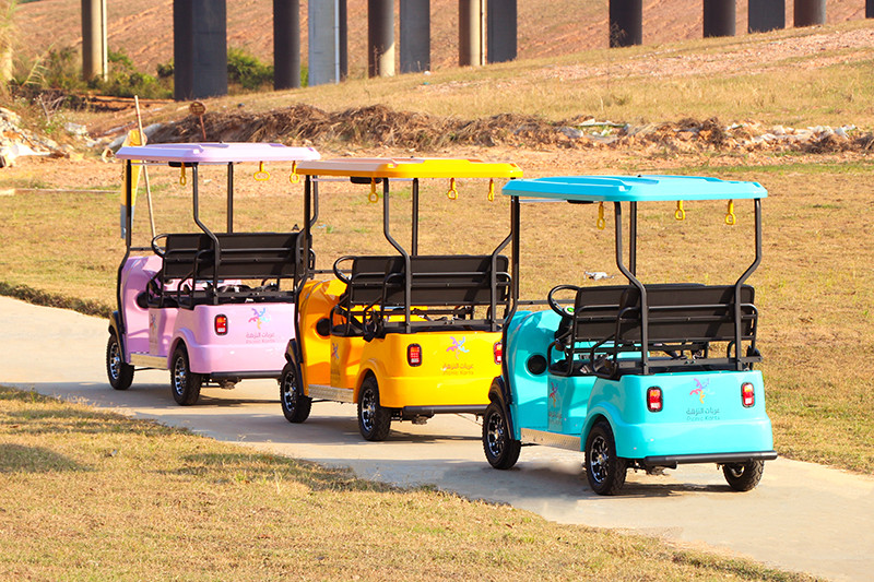 Four Wheel Electric Golf Scooter 4 Passenger With Lithium Battery