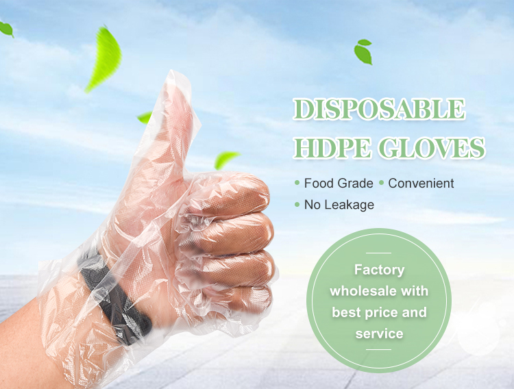 Transparent Disposable Food Safe Gloves Customized Thickness And Exclusive Customization