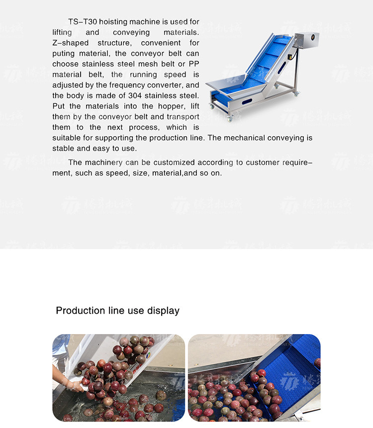 Kiwi Carrot Taro Vegetable Brush Bubble Cleaning Machine 2.5KW