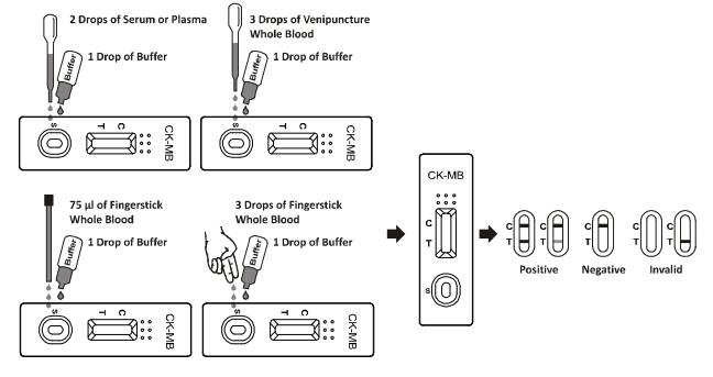 3.5-80ng/ML CK MB Test Cassette LF Reader Diagnosis Of Myocardial Infarction MI