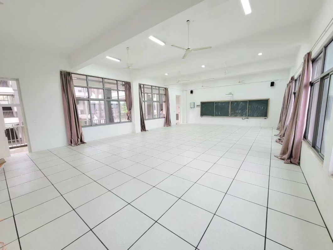 Customized Raised Access Date Centre Floor Monitor Room