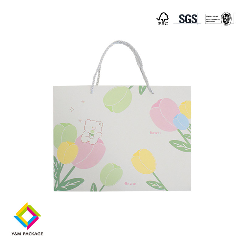 Clothing Paper Bag Custom Printed Takeaway Shopping Paper Bag Craft Paper Gift Bags