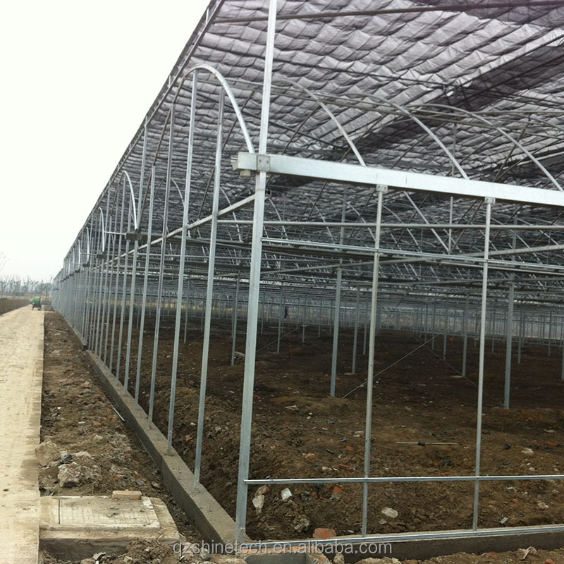 Hot Dip Galvanized Steel Tube Frame Multi Span Agricultural Greenhouse