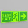 Buy cheap Rectangle Subway Photoluminescent Signage Fire Evacuation Door Signs from wholesalers