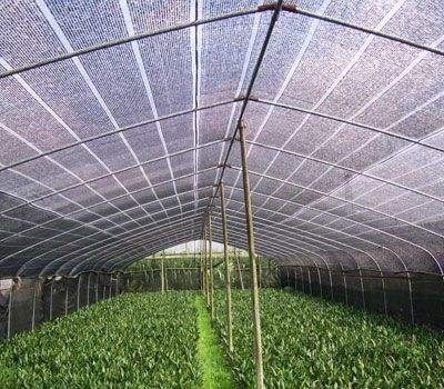 6m Wide Greenhouse Plastic Weed Mat 30gsm-300gsm Agricultural Shade Cloth