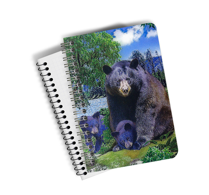 Customize A4 A5 A6 Cover 3D Lenticular Notebook With Spiral For School / Office Supplies
