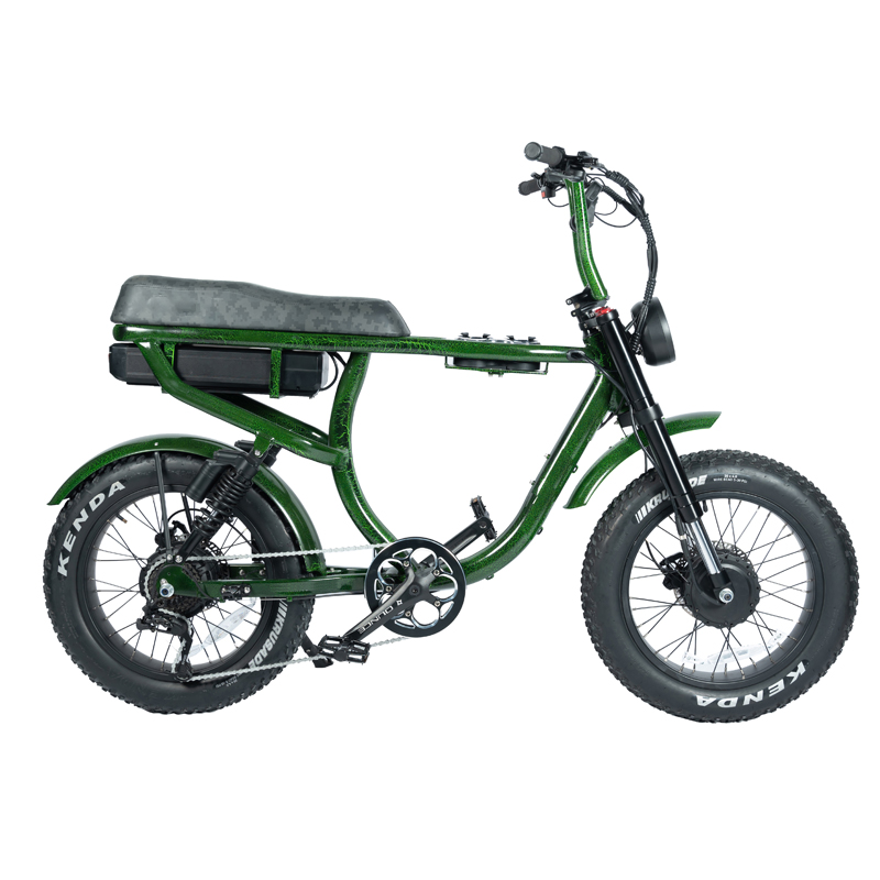 Disc Brake 1000W Retro Style 20inch Fat Tire Chopper Electric Bike for Beach Cruiser