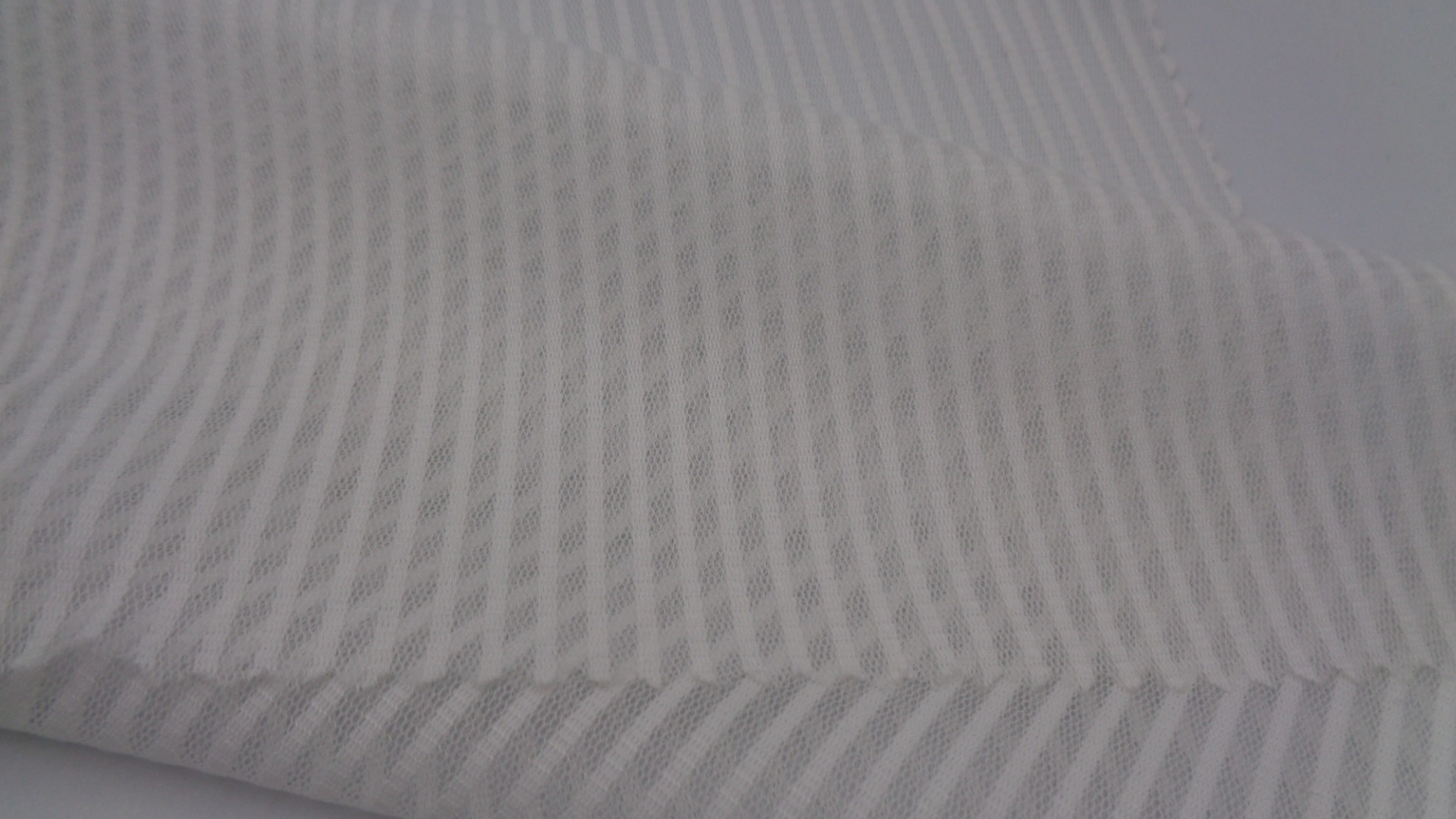 Organza Sports Mesh Breathable Polyester Fabric 300Dx300D 80 Gsm